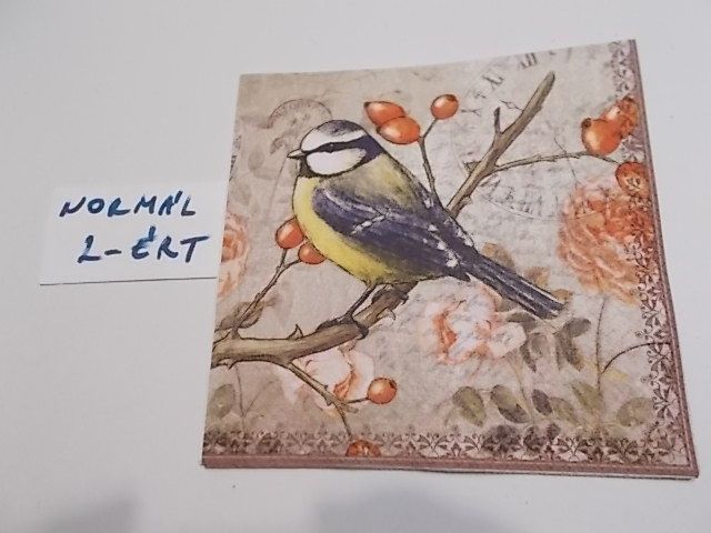 szalvta: PID32003.JPG