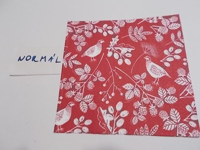 szalvta: PID32007.JPG