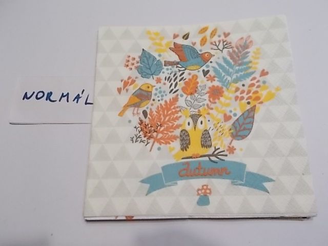 szalvta: PID32023.JPG