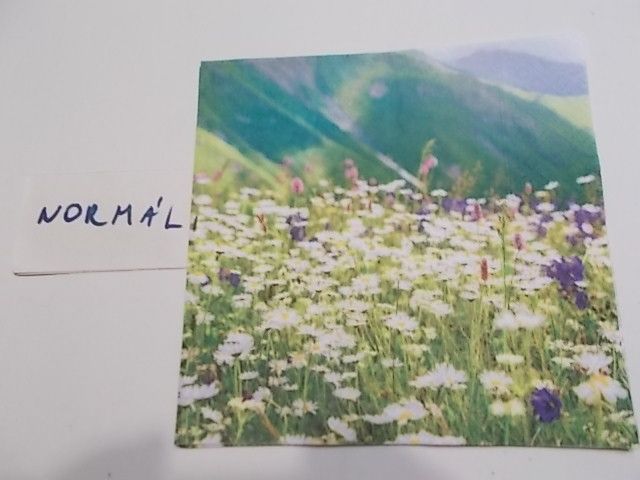 szalvta: PID32104.JPG