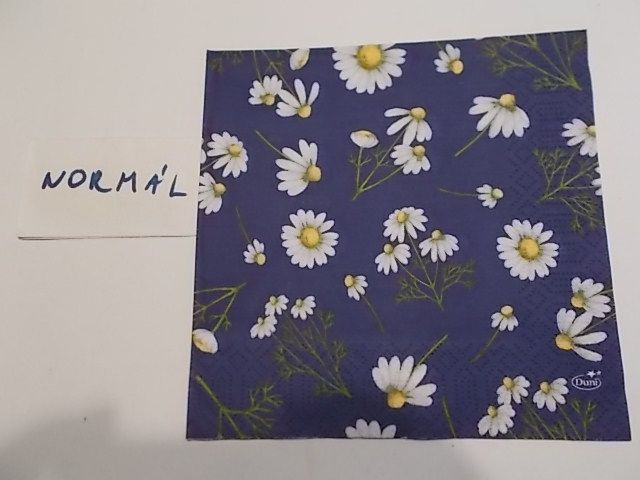 szalvta: PID32116.JPG