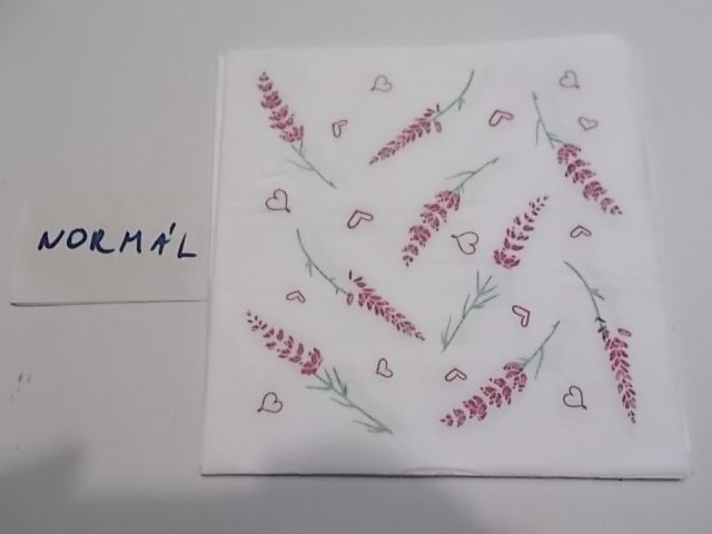 szalvta: PID32160.JPG