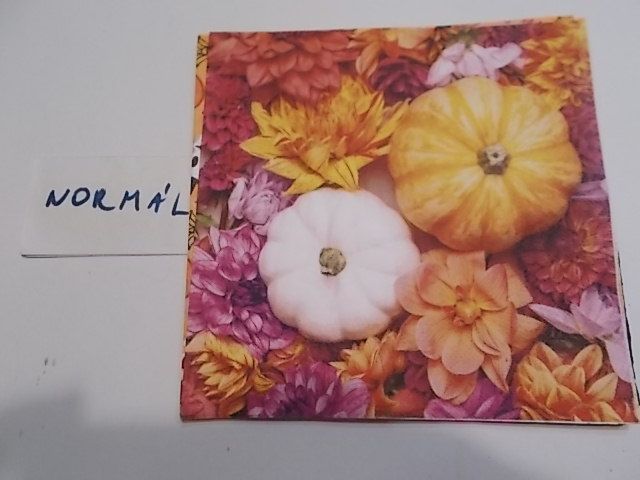 szalvta: PID32173.JPG