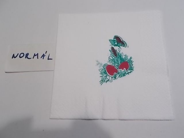 szalvta: PID32175.JPG