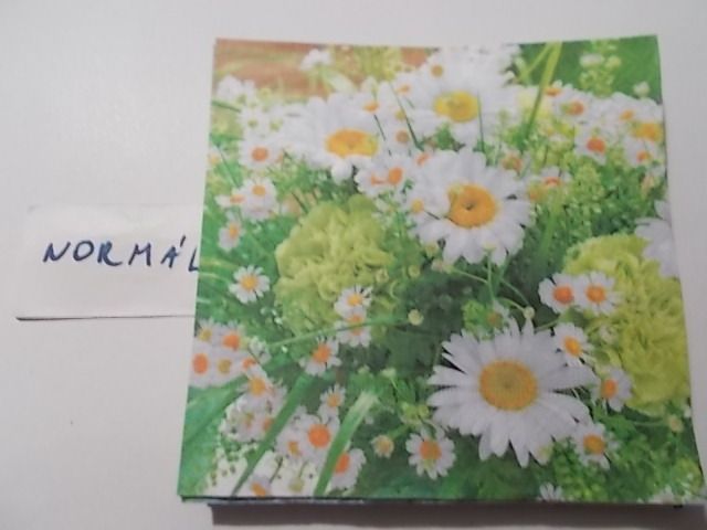 szalvta: PID32256.JPG