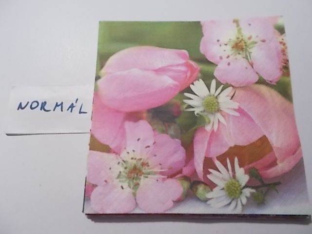 szalvta: PID32264.JPG