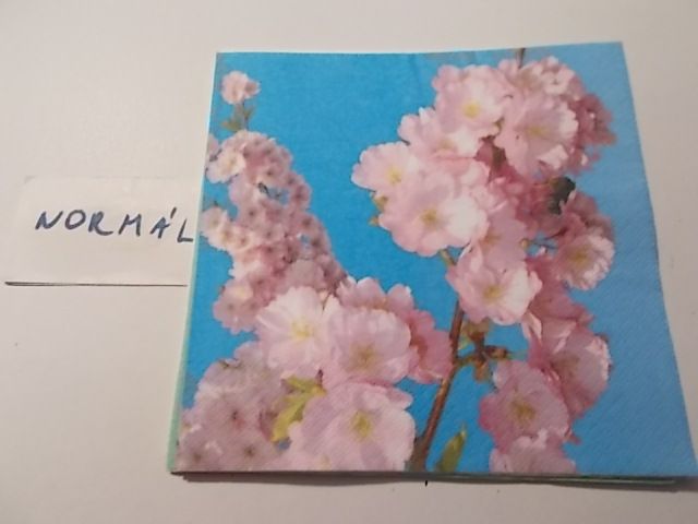 szalvta: PID32296.JPG