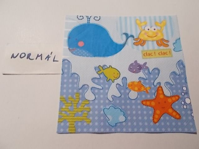 szalvta: PID32654.JPG