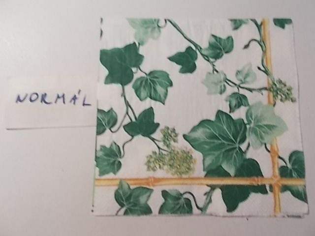 szalvta: PID33046.JPG