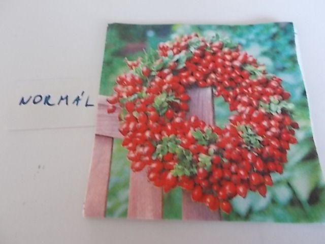 szalvta: PID33172.JPG