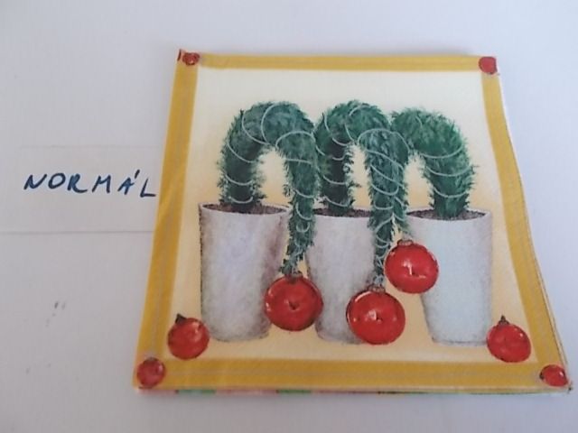 szalvta: PID33173.JPG