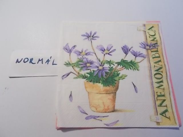 szalvta: PID33271.JPG