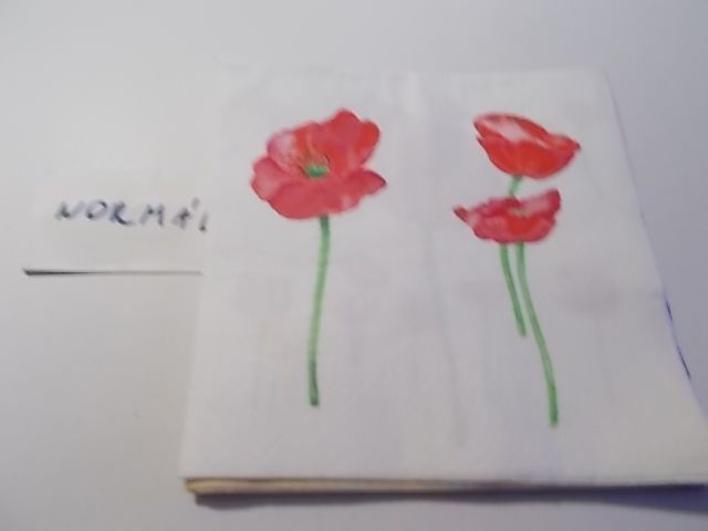 szalvta: PID33349.JPG