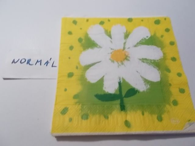 szalvta: PID33360.JPG