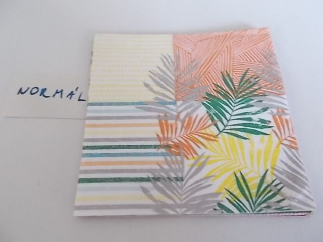 szalvta: PID33504.JPG