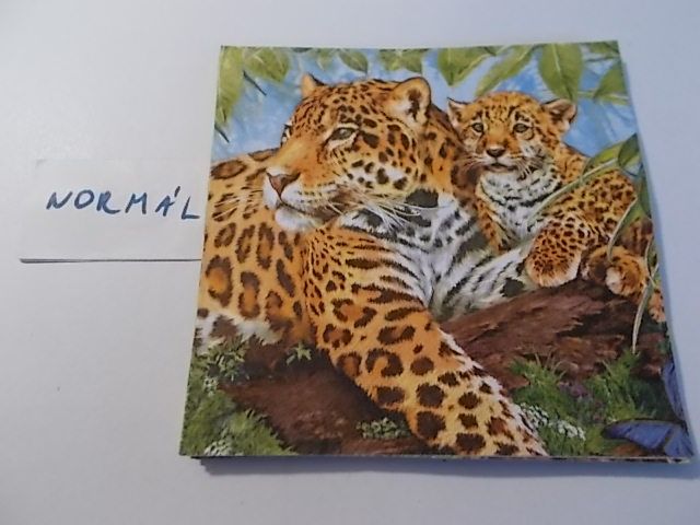 szalvta: PID33570.JPG