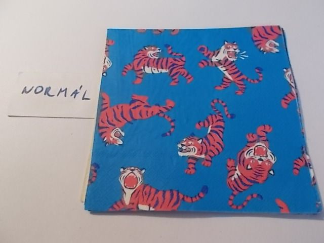 szalvta: PID33581.JPG