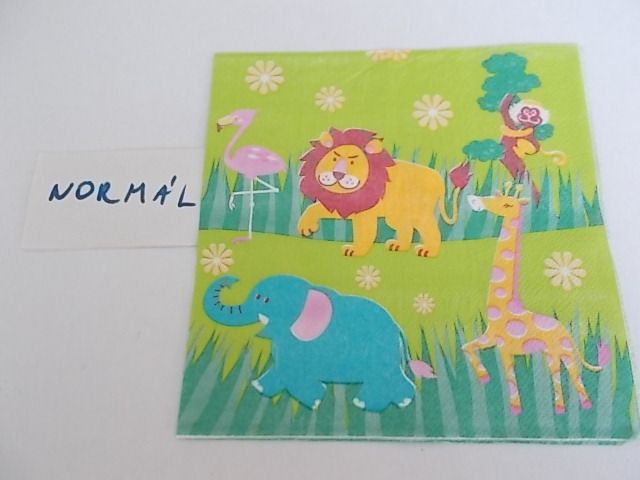 szalvta: PID33690.JPG