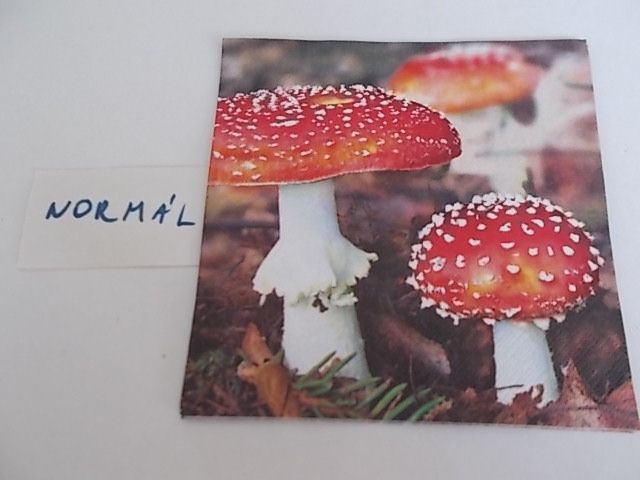 szalvta: PID33695.JPG