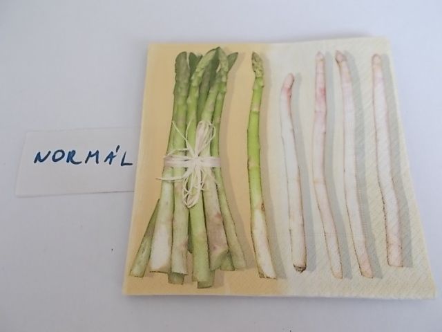 szalvta: PID33700.JPG