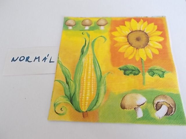 szalvta: PID33704.JPG