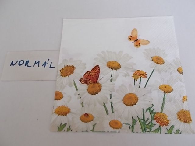 szalvta: PID33749.JPG