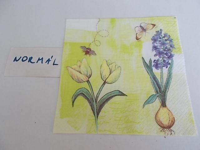 szalvta: PID33753.JPG