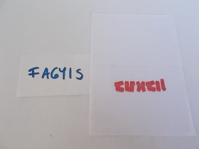 szalvta: PID33828.JPG