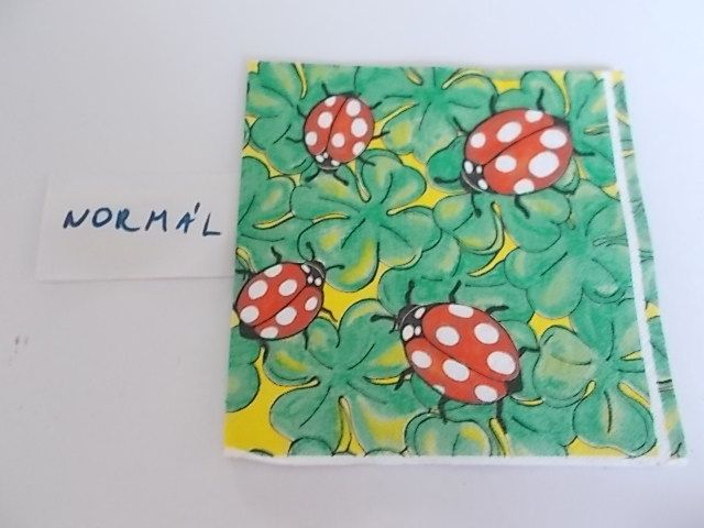 szalvta: PID33884.JPG