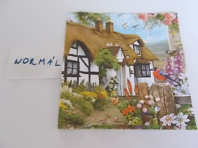 szalvta: PID33890.JPG