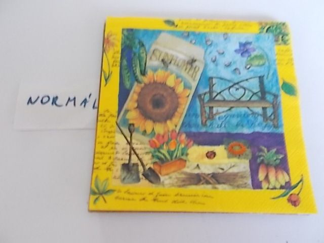 szalvta: PID33895.JPG