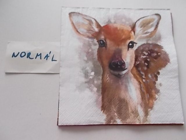 szalvta: PID33966.JPG