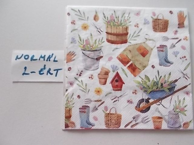 szalvta: PID33978.JPG