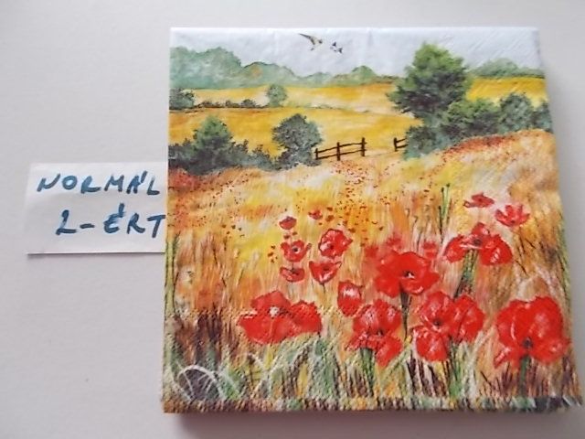 szalvta: PID33985.JPG