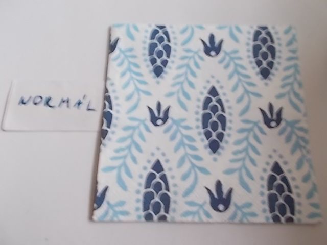 szalvta: PID34113.JPG