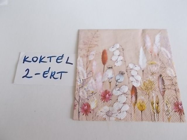 szalvta: PID34176.JPG