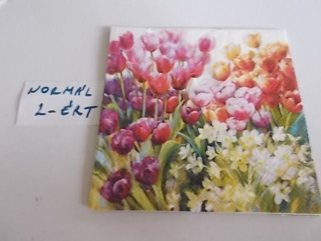 szalvta: PID34192.JPG