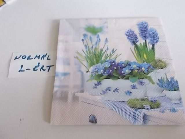 szalvta: PID34193.JPG