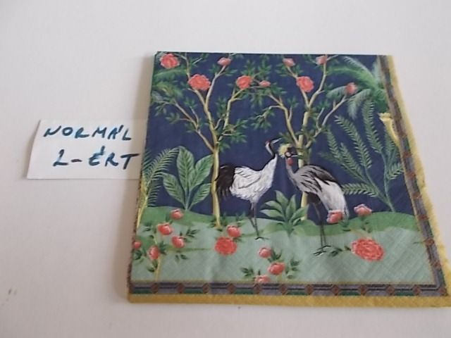 szalvta: PID34200.JPG