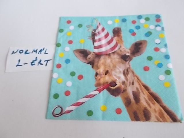 szalvta: PID34203.JPG