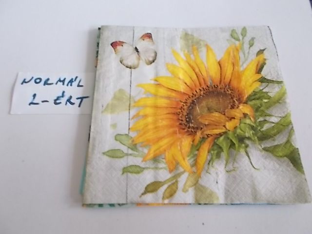 szalvta: PID34207.JPG