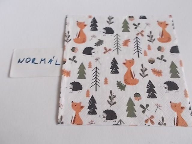 szalvta: PID34245.JPG