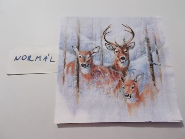 szalvta: PID34281.JPG