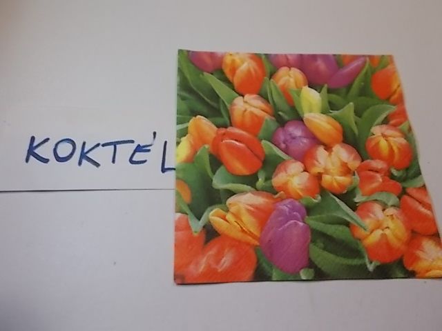 szalvta: PID34354.JPG