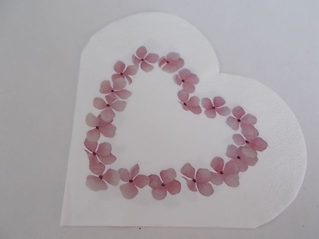 szalvta: PID34567.JPG