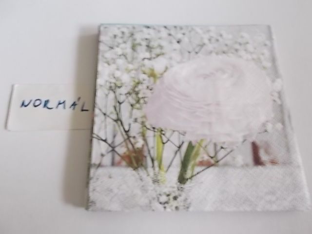 szalvta: PID34672.JPG