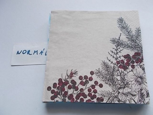 szalvta: PID34681.JPG