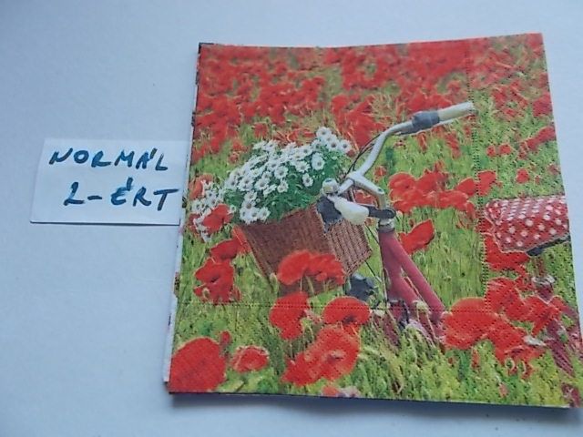 szalvta: PID34691.JPG