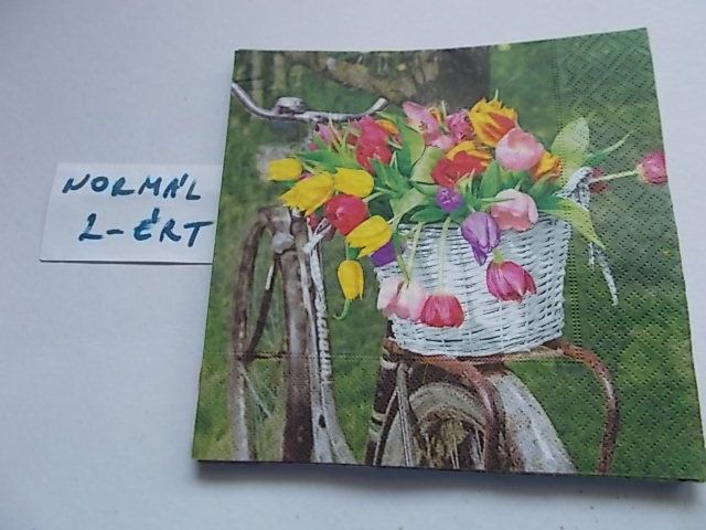 szalvta: PID34692.JPG