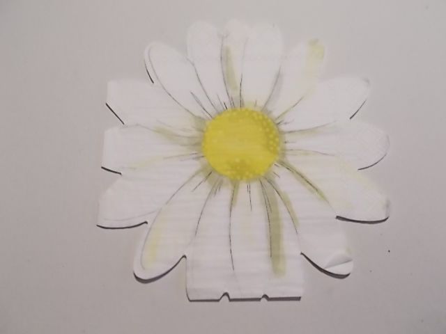 szalvta: PID34747.JPG